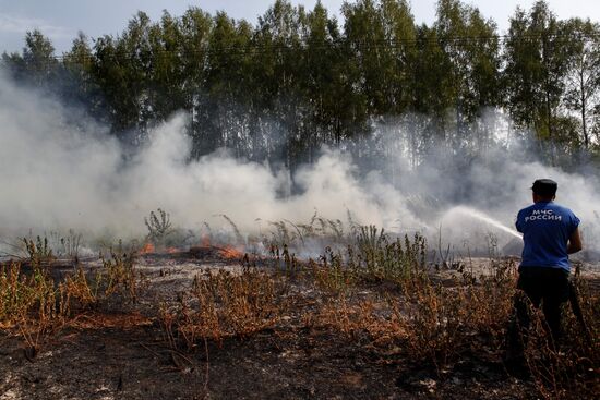 Moscow Region hit by wildfires