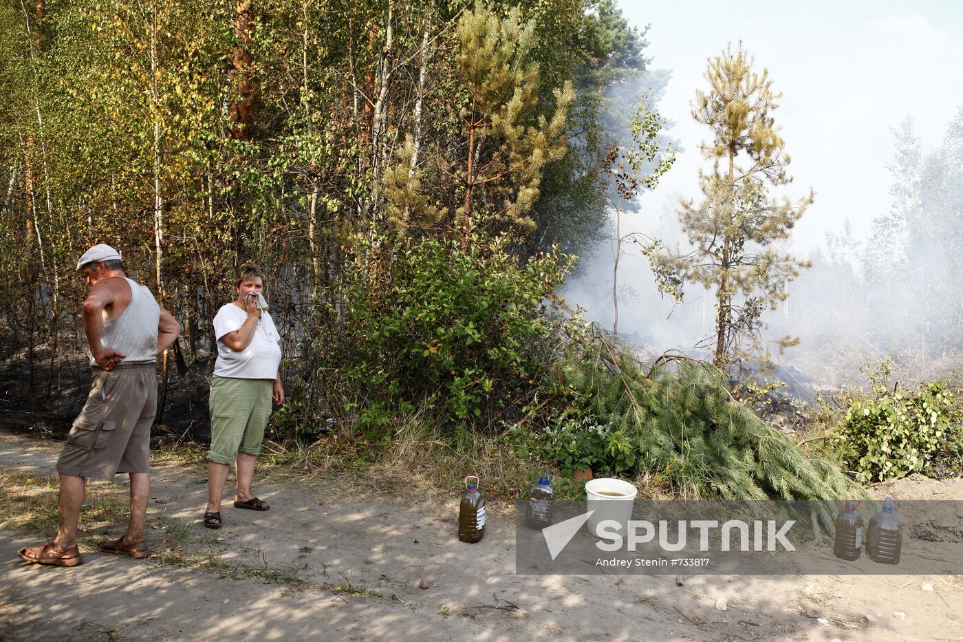 Moscow Region hit by wildfires