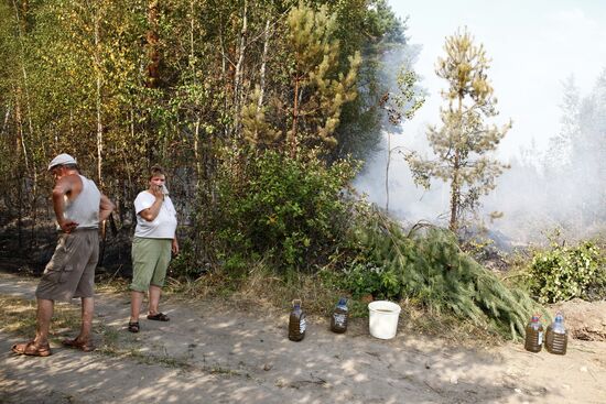 Moscow Region hit by wildfires