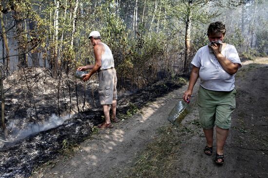 Moscow Region hit by wildfires