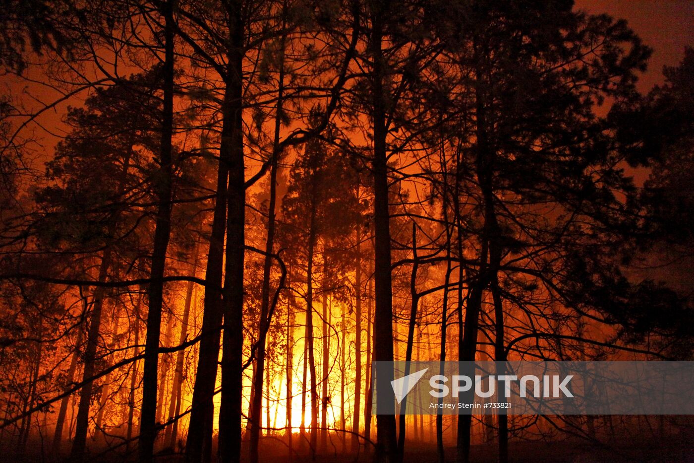 Moscow Region hit by wildfires