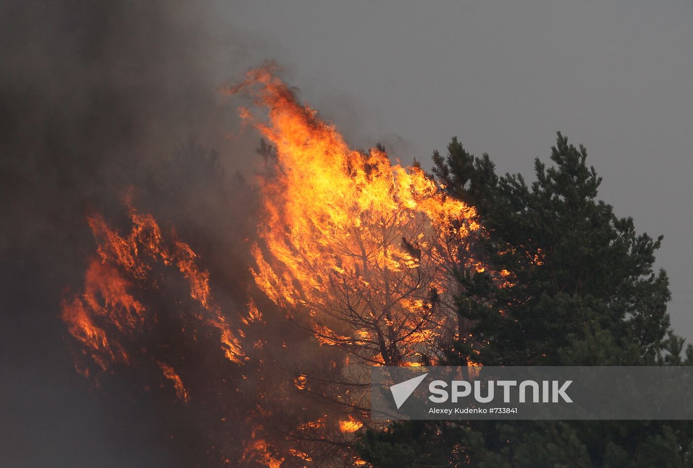 Forest fire ravaging near Novovoronezh Nuclear Power Plant