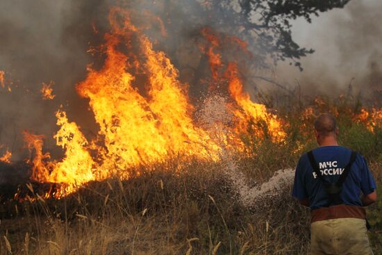 Emergency crews extinguishing forest fire
