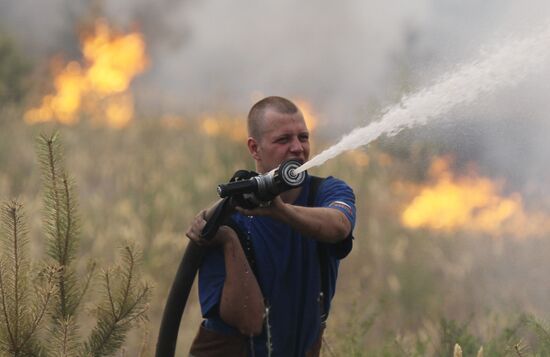 Emergency crews extinguishing forest fire