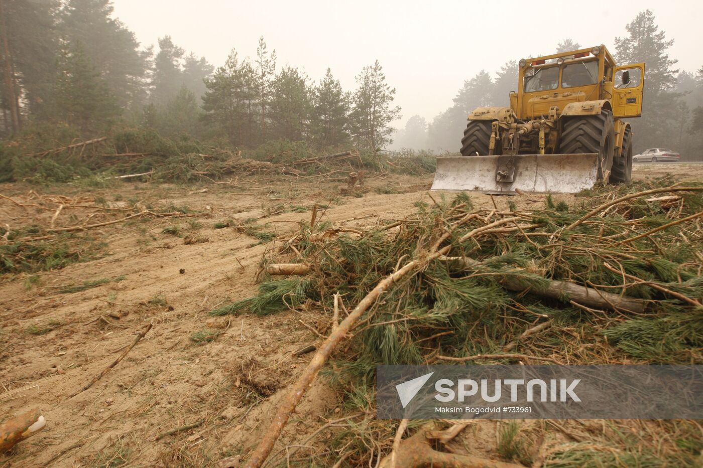 Woods cut down near Nizhny Novgorod Region's Vilya village