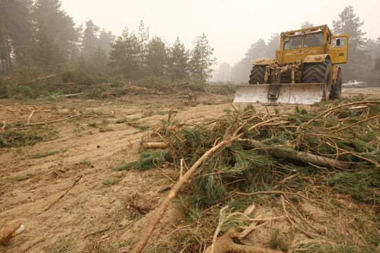 Woods cut down near Nizhny Novgorod Region's Vilya village