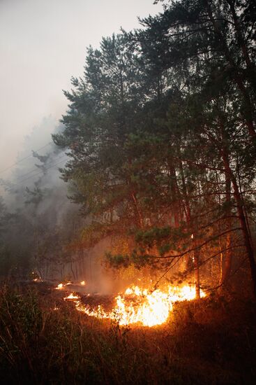 Wildfires in Moscow Region