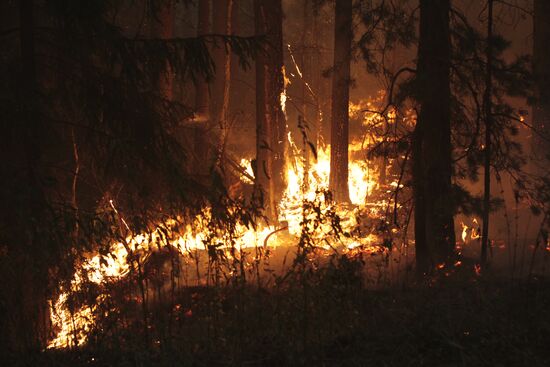 Wildfires in Moscow Region