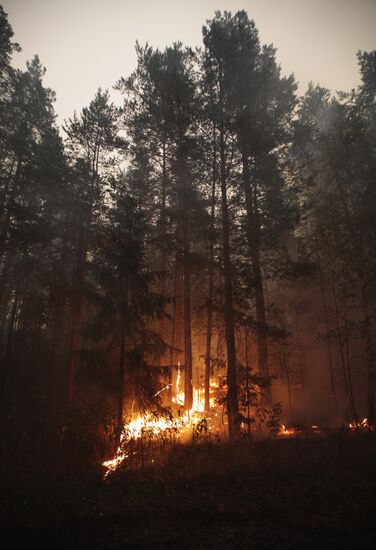 Wildfires in Moscow Region