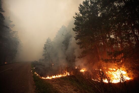 Wildfires in Moscow Region