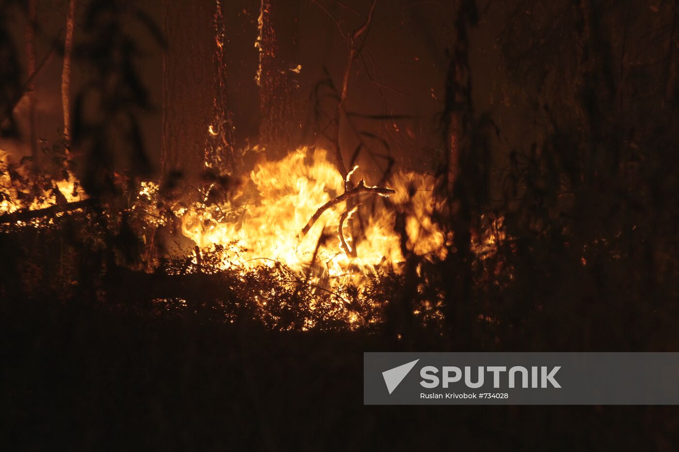 Wildfires in Moscow Region