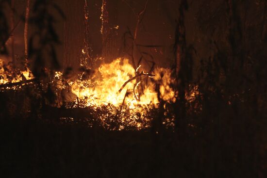Wildfires in Moscow Region