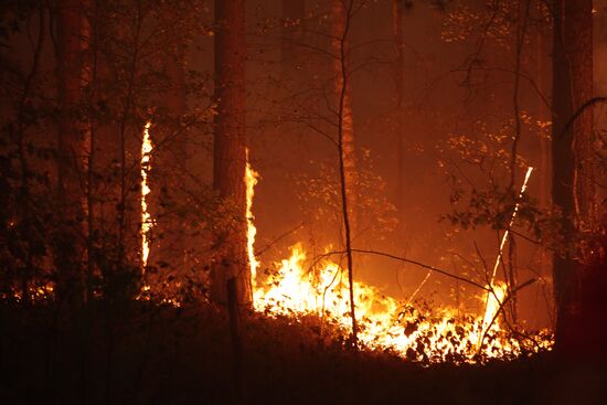 Wildfires in Moscow Region