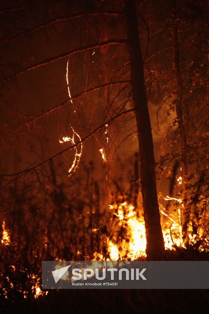 Wildfires in Moscow Region
