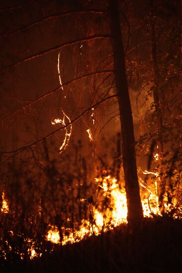 Wildfires in Moscow Region