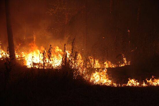 Wildfires in Moscow Region