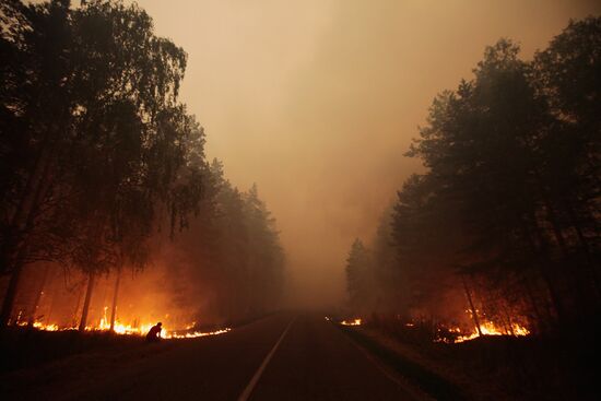 Wildfires in Moscow Region