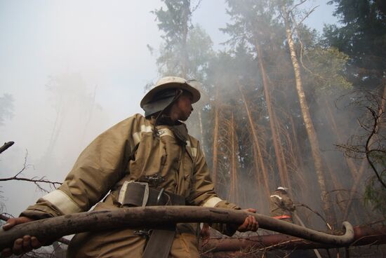 Wildfires in Moscow Regions's Noginsky district