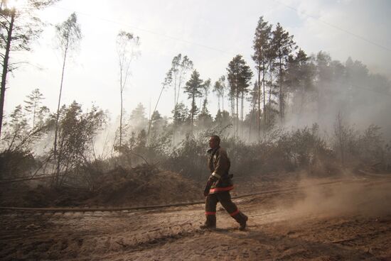 Wildfires in Moscow Regions's Noginsky district