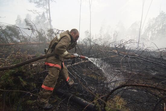 Wildfires in Moscow Regions's Noginsky district