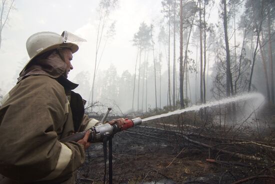 Wildfires in Moscow Regions's Noginsky district