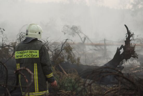 Wildfires in Moscow Regions's Noginsky district