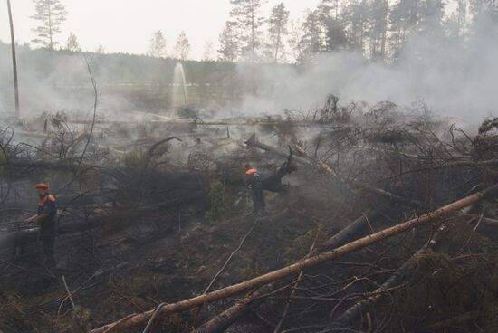 Wildfires in Moscow Regions's Noginsky district