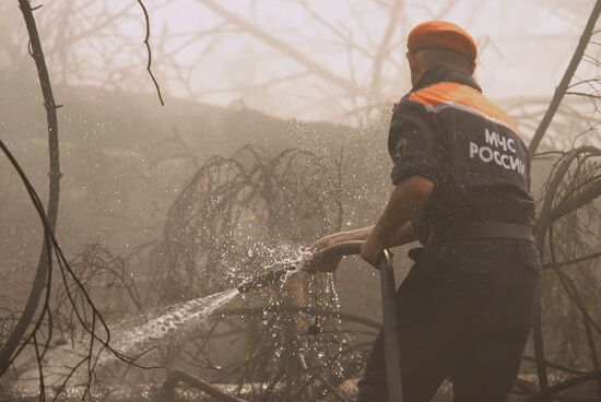 Wildfires in Moscow Regions's Noginsky district