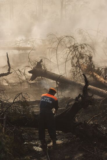 Wildfires in Moscow Regions's Noginsky district