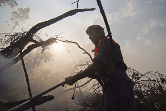 Wildfires in Moscow Regions's Noginsky district