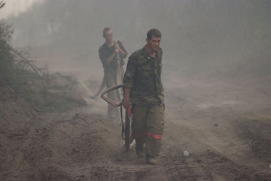 Wildfires in Moscow Regions's Noginsky district