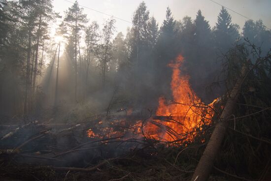 Wildfires in Moscow Regions's Noginsky district
