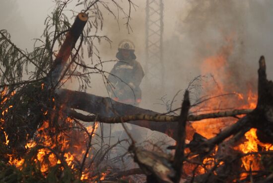 Wildfires in Moscow Regions's Noginsky district