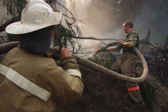 Wildfires in Moscow Regions's Noginsky district