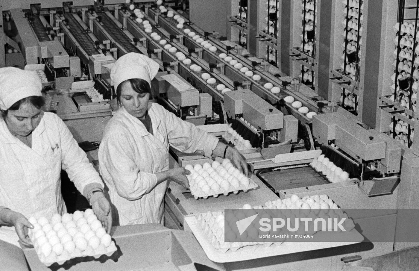 Glebovskaya poultry farm