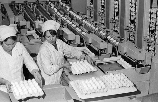 Glebovskaya poultry farm