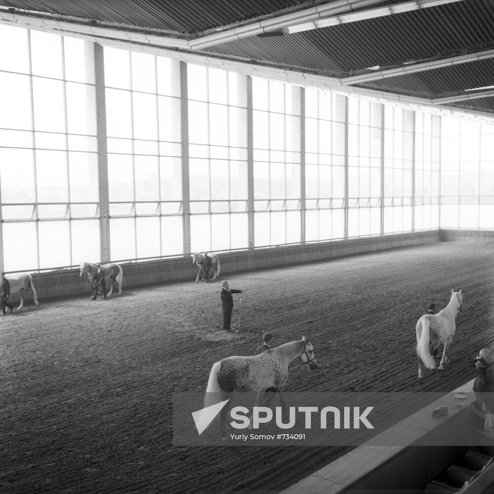 Moscow Stud Farm riding hall