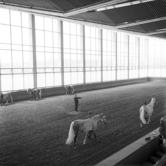 Moscow Stud Farm riding hall