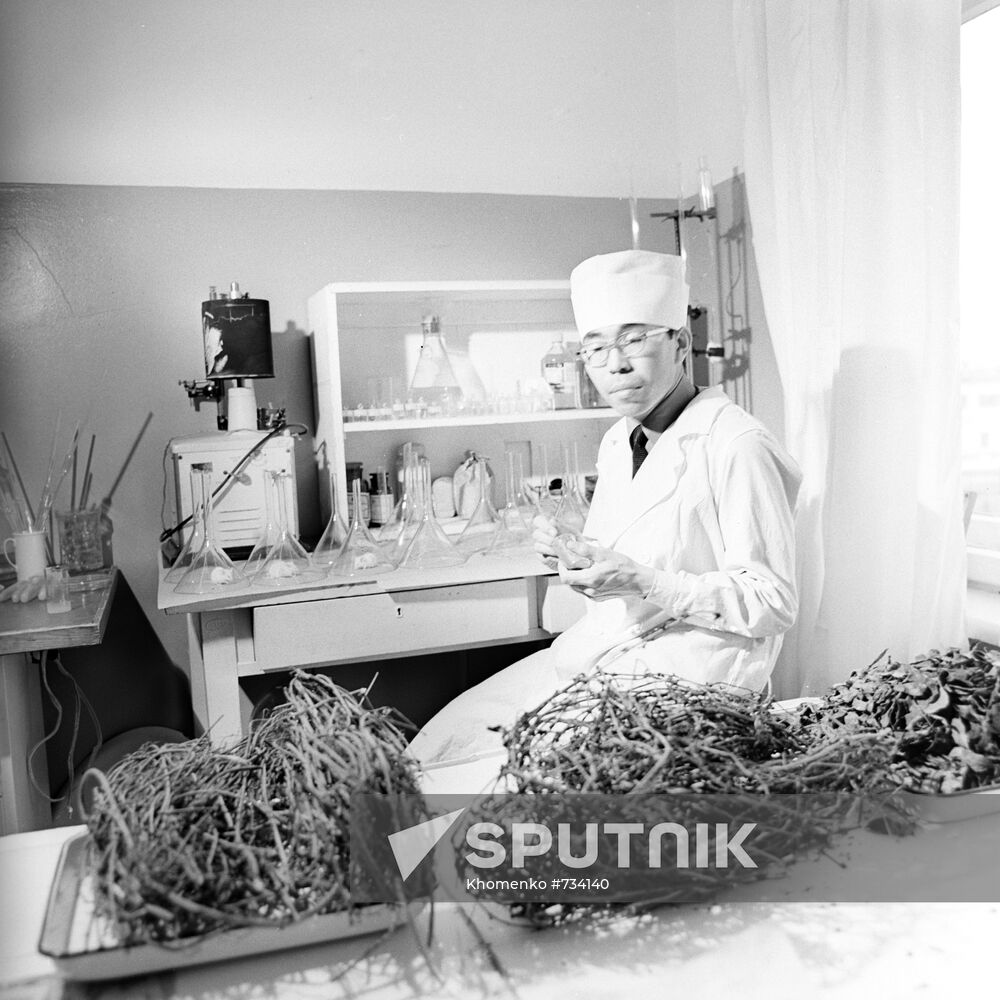 Medicinal Plants Institute