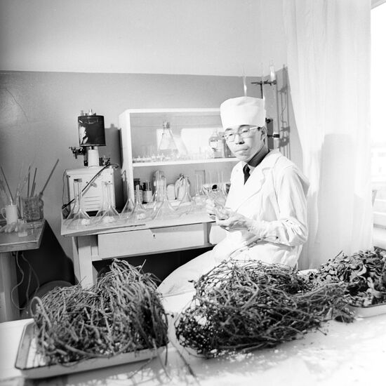 Medicinal Plants Institute