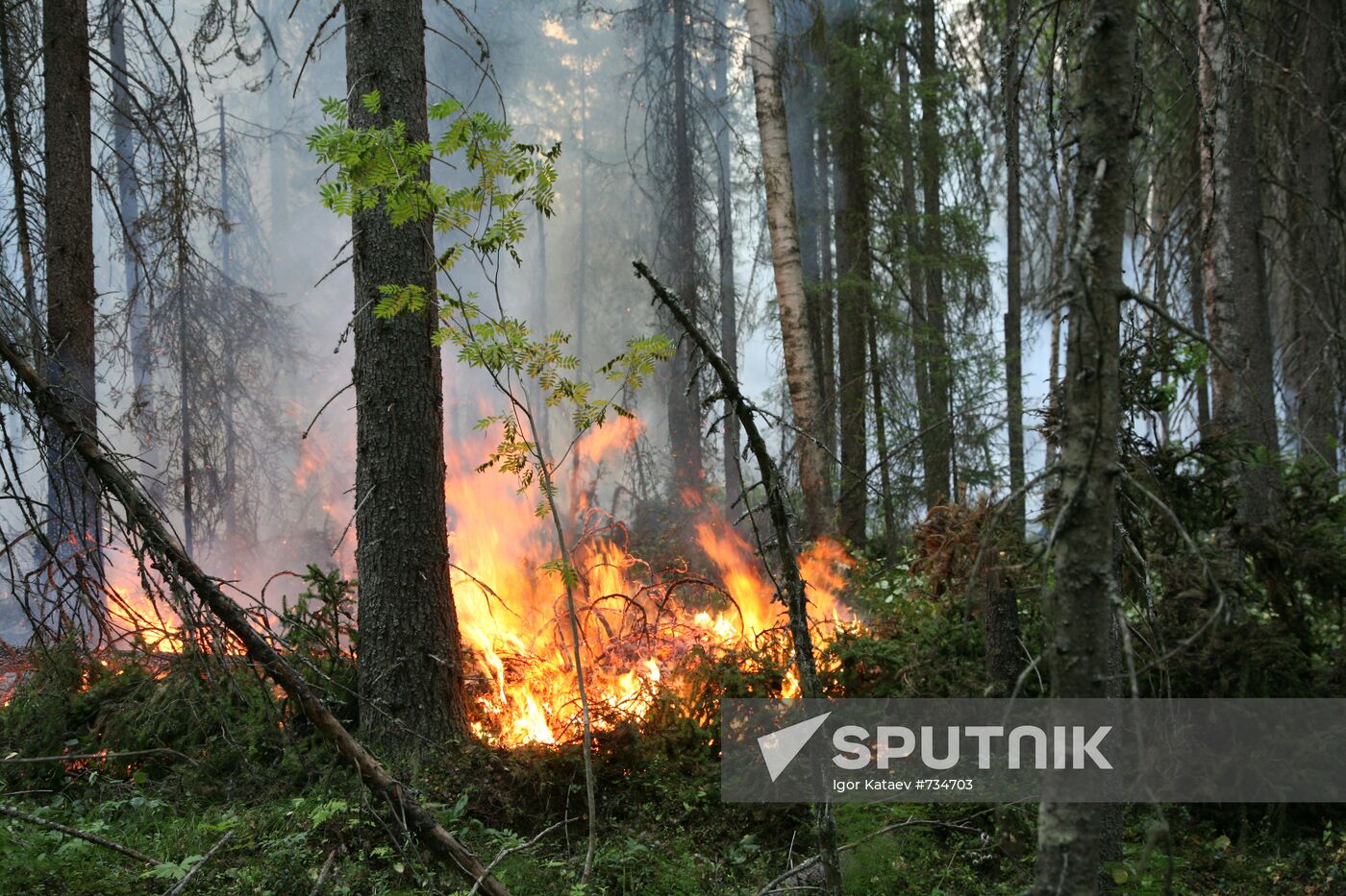 Wildfires in Gainy District, Perm Territory