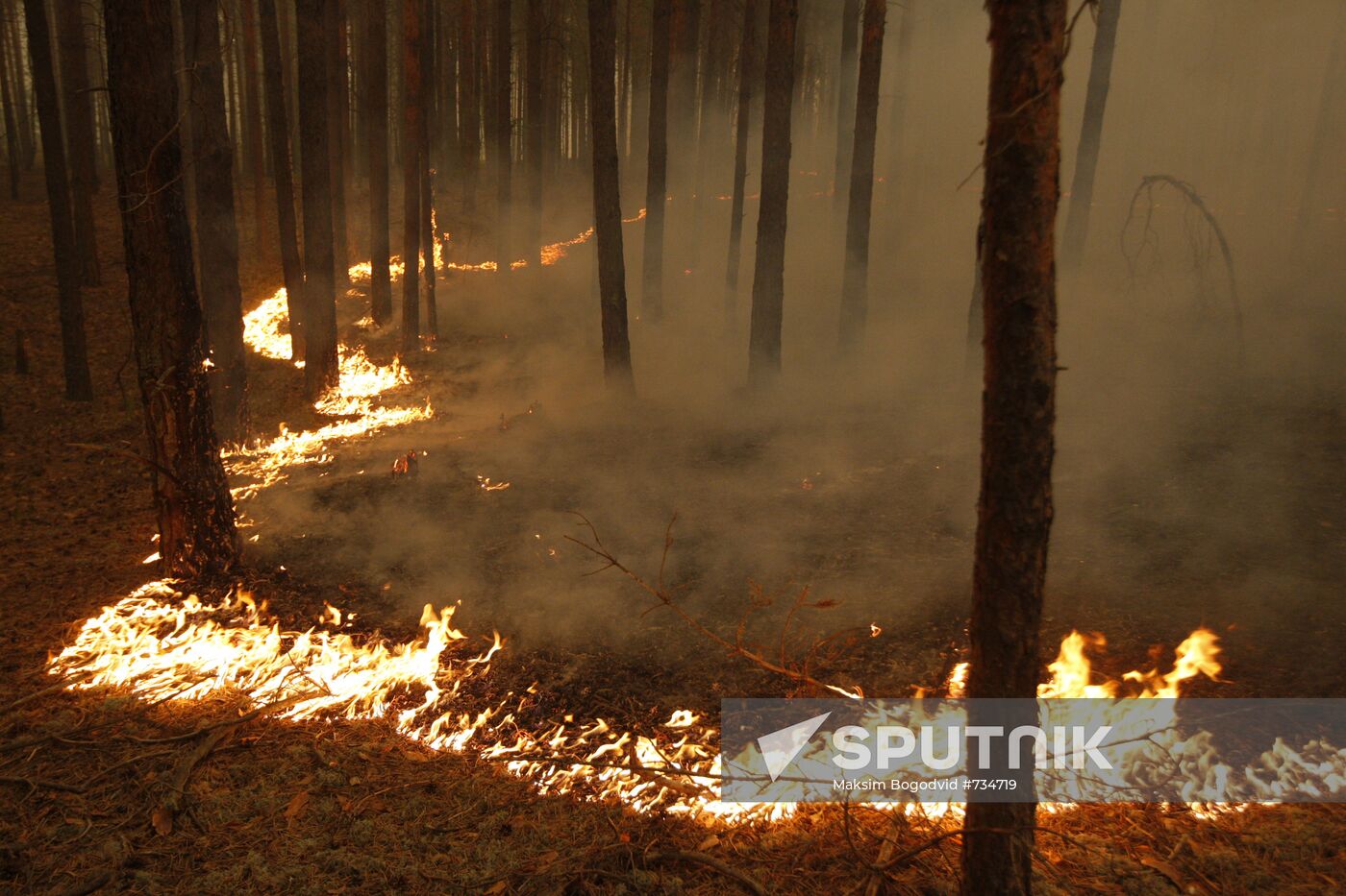 Surface fire in Nizhny Novgorod Region