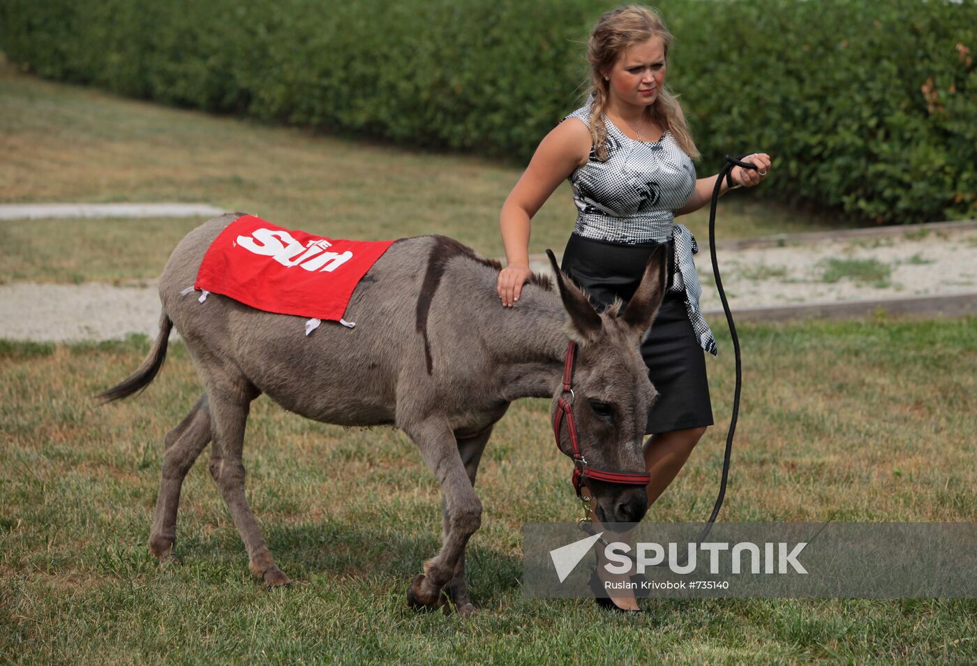 Donkey Anapka at Kremlin equestrian school