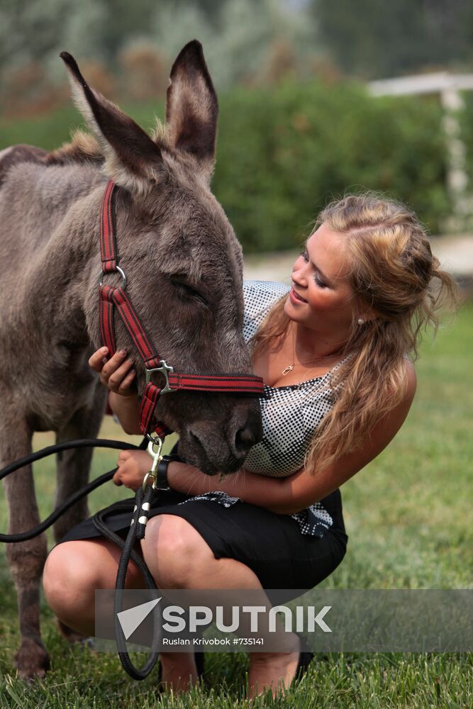 Donkey Anapka at Kremlin equestrian school