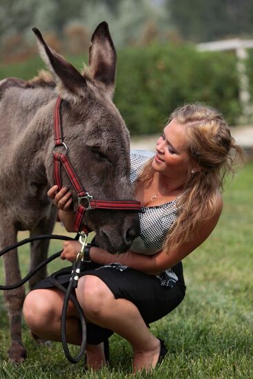 Donkey Anapka at Kremlin equestrian school