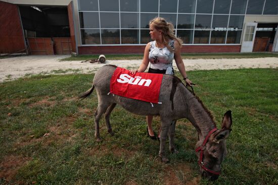 Donkey Anapka at Kremlin equestrian school