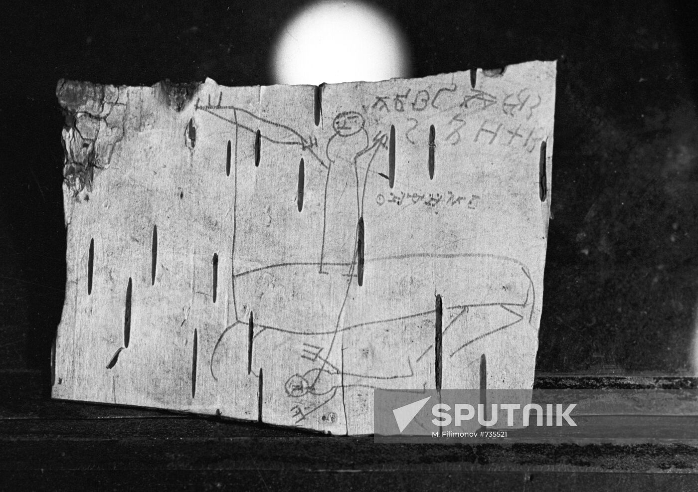 Birch bark drawings
