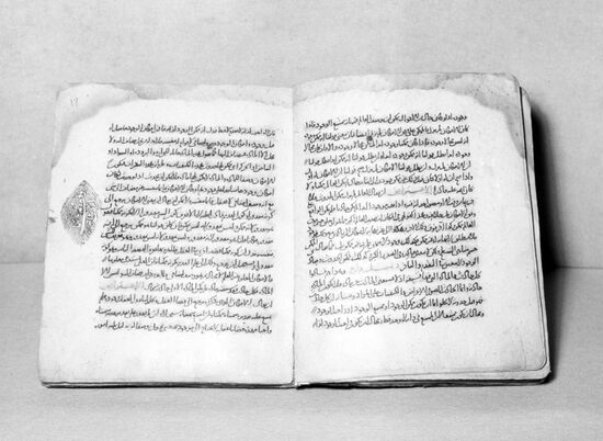 Manuscript "The Mutual Subversion of Philosophers"
