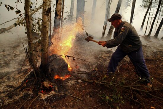 Wildfires in Moscow and Ryazan Regions