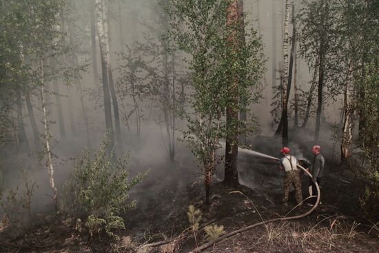 Wildfires in Moscow and Ryazan Regions